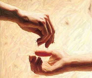 To Sow or Not to Sow…. Part 2