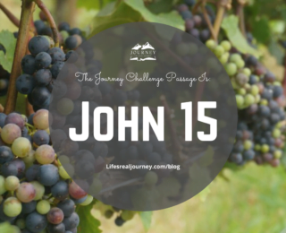 Announcing the 2020 Journey Challenge Passage!